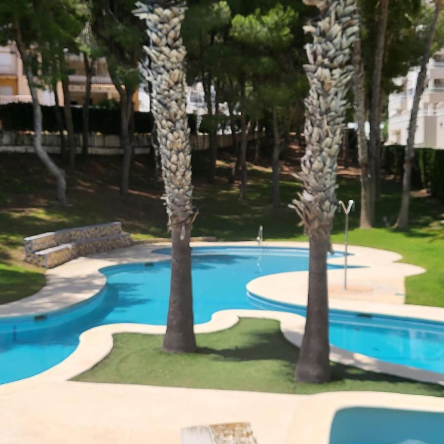 Apartamento Ines, Dehesa De Campoamor,900M From The Sea , Swimming Pool & Tennis Court Buitenkant foto